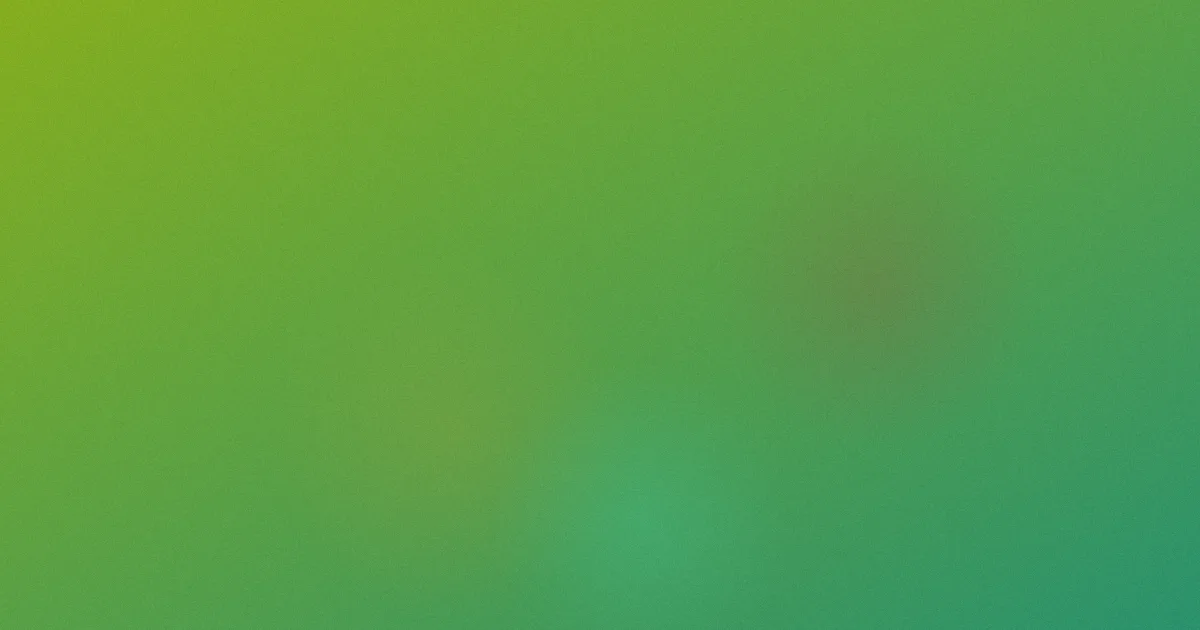 b开头的英语单词怎么用：一周实测